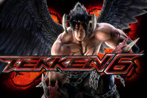 Fondo de pantalla Jin Kazama - The Tekken 6 480x320