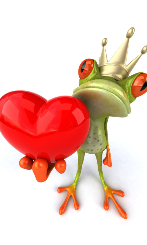 Das Valentine's Day Frog Wallpaper 480x800