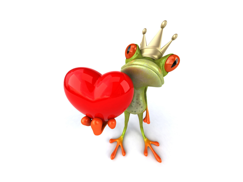 Das Valentine's Day Frog Wallpaper 800x600