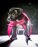 Sfondi Cute Puppy In Pink Cloak 128x160
