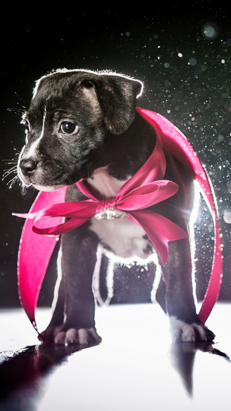 Cute Puppy In Pink Cloak screenshot #1 750x1334