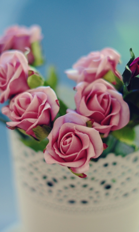 Beautiful Pink Roses In White Vintage Vase wallpaper 480x800