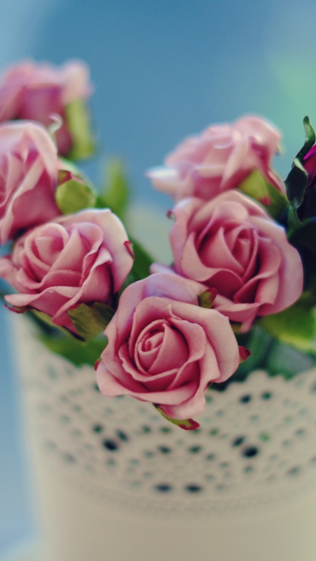 Das Beautiful Pink Roses In White Vintage Vase Wallpaper 640x1136