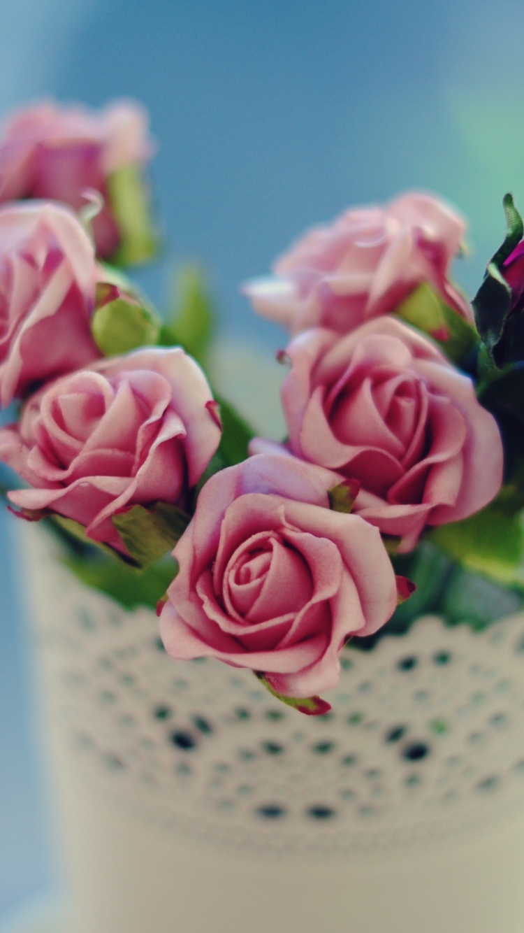 Beautiful Pink Roses In White Vintage Vase screenshot #1 750x1334