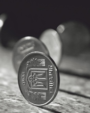Sfondi Ukrainian Coins 176x220