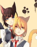 Обои Cat Girls 128x160