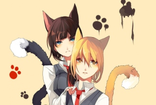 Cat Girls Picture for Android, iPhone and iPad