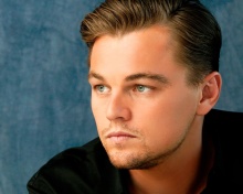 Leonardo DiCaprio screenshot #1 220x176