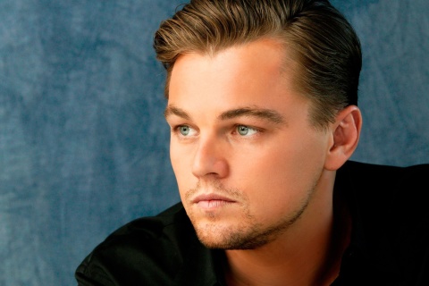 Leonardo DiCaprio wallpaper 480x320