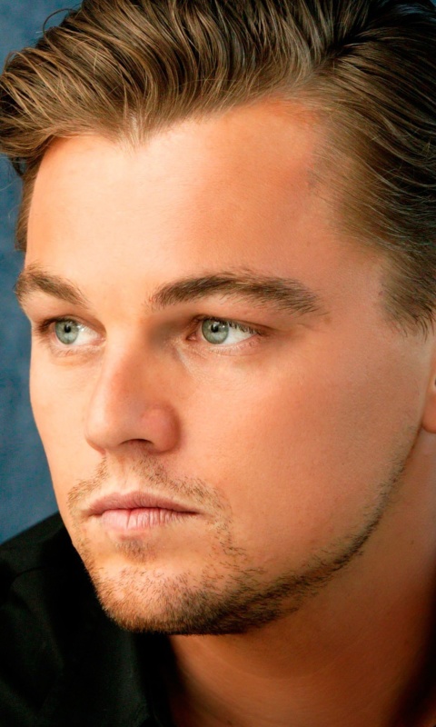 Leonardo DiCaprio screenshot #1 480x800