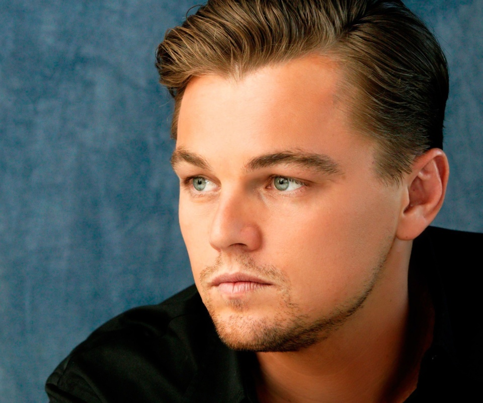 Screenshot №1 pro téma Leonardo DiCaprio 960x800