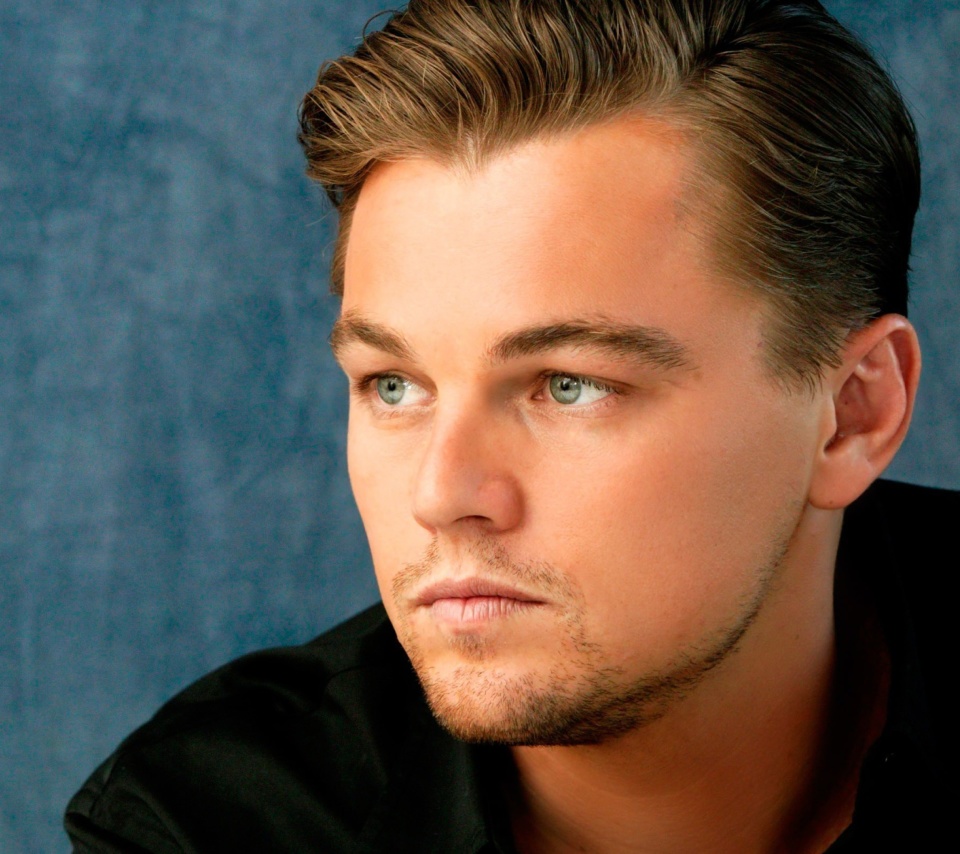 Leonardo DiCaprio wallpaper 960x854