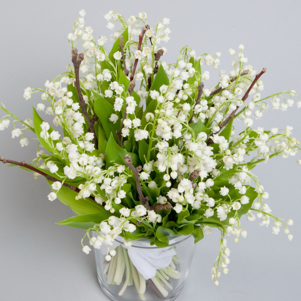 Lily Of The Valley Bouquet wallpaper 1024x1024