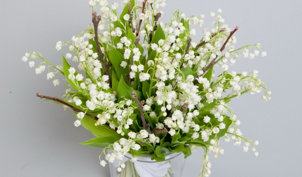 Обои Lily Of The Valley Bouquet 1024x600