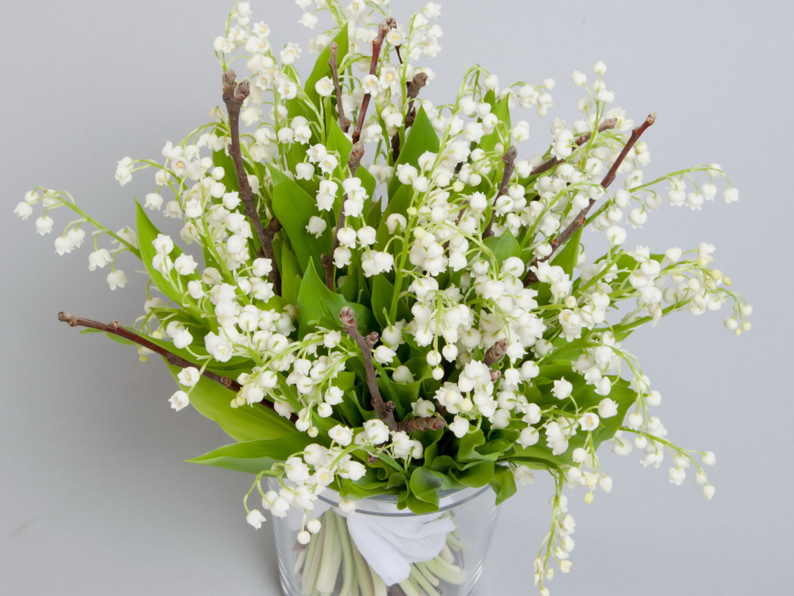 Обои Lily Of The Valley Bouquet 1152x864
