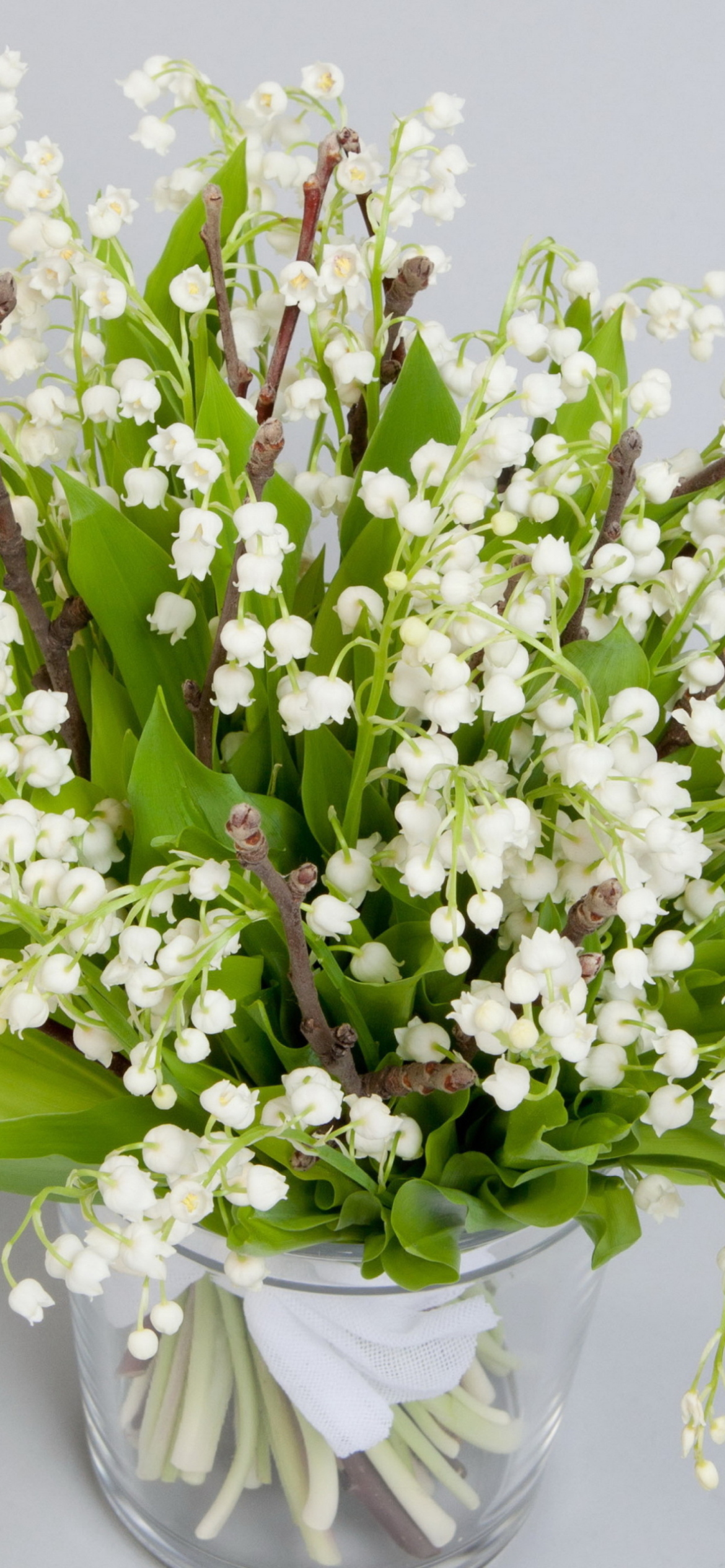 Das Lily Of The Valley Bouquet Wallpaper 1170x2532