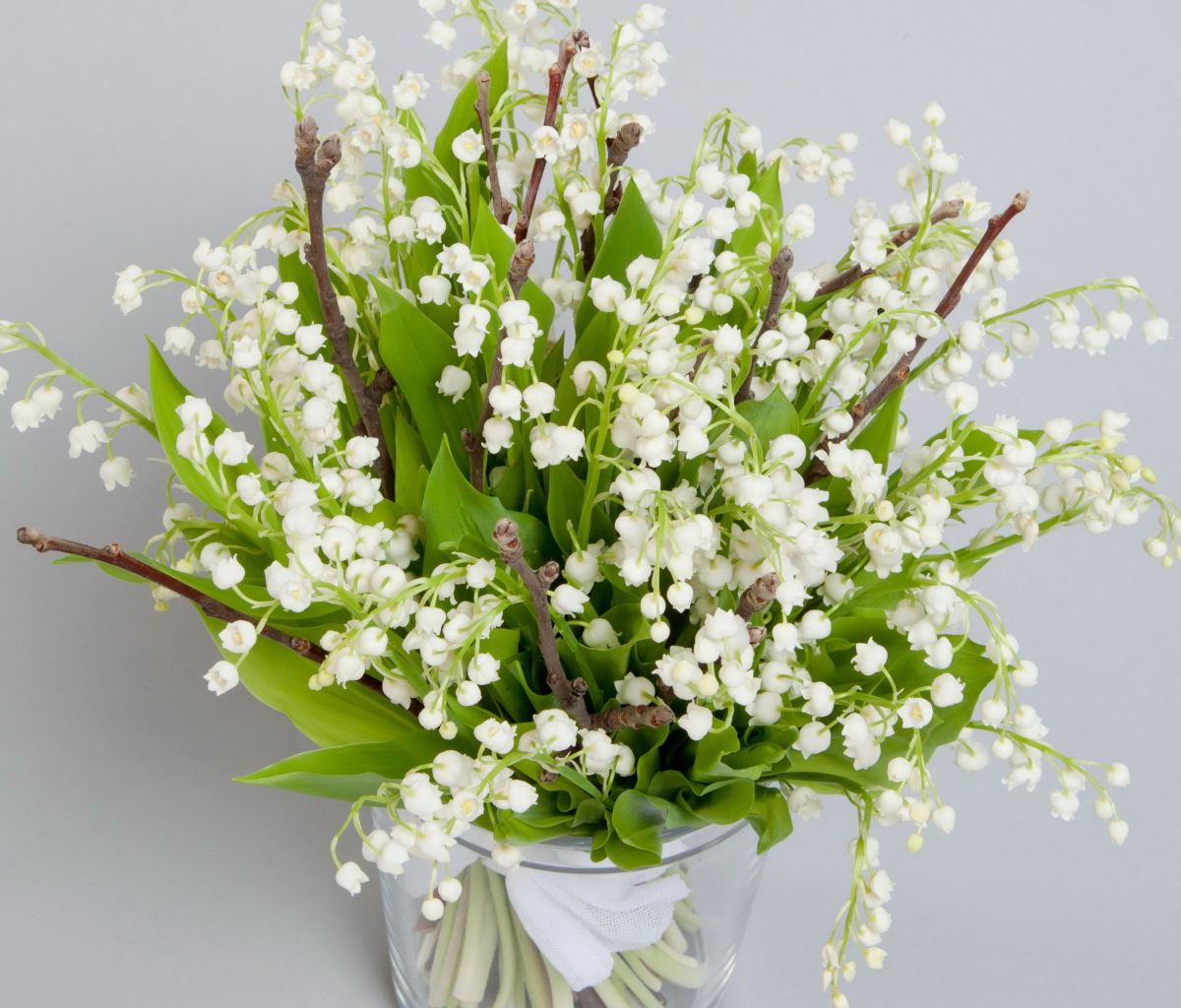 Das Lily Of The Valley Bouquet Wallpaper 1200x1024