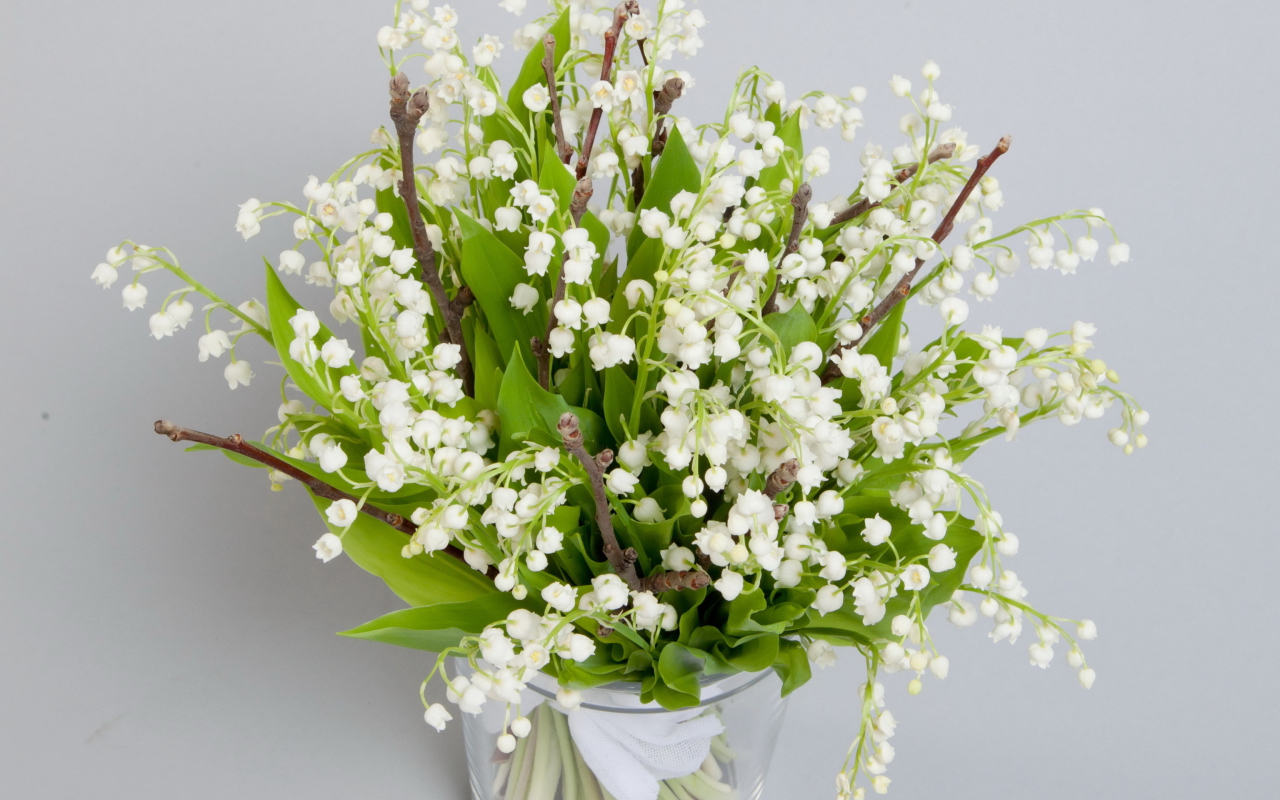 Lily Of The Valley Bouquet wallpaper 1280x800