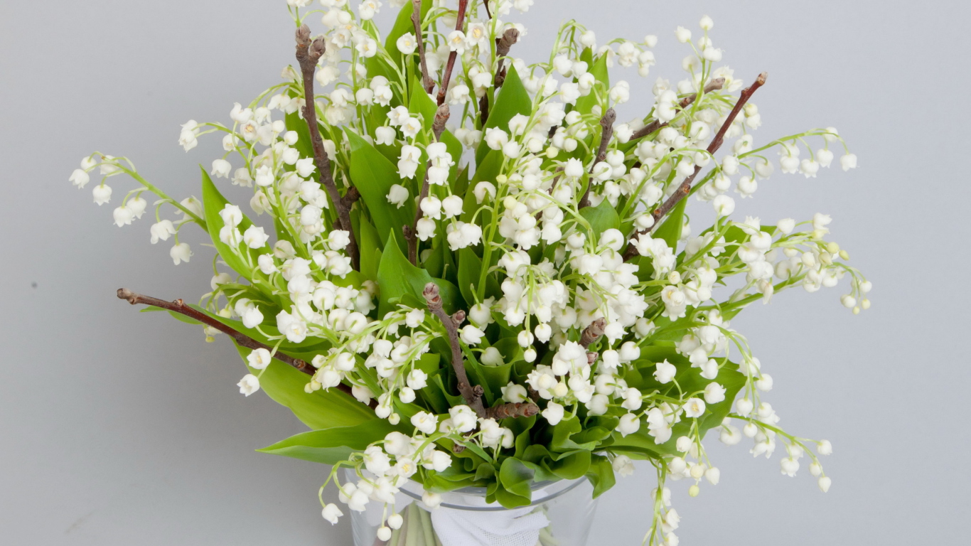 Screenshot №1 pro téma Lily Of The Valley Bouquet 1366x768