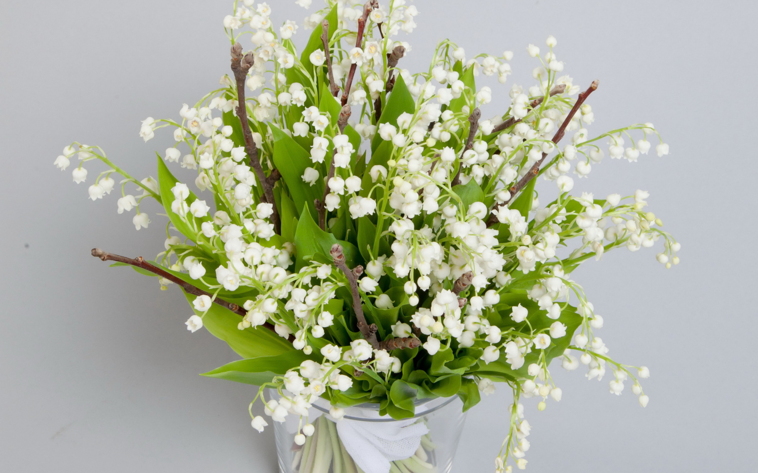 Das Lily Of The Valley Bouquet Wallpaper 2560x1600