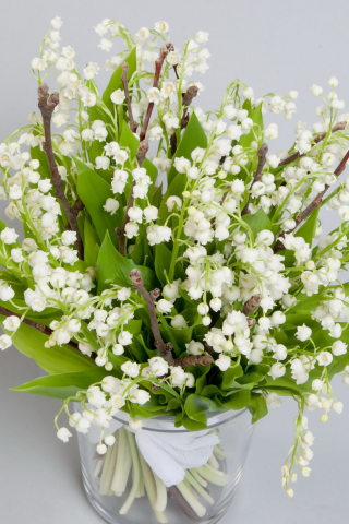 Das Lily Of The Valley Bouquet Wallpaper 320x480