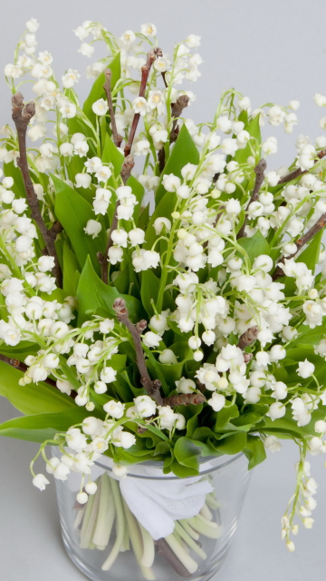 Обои Lily Of The Valley Bouquet 360x640