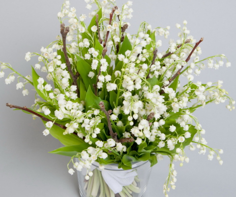 Screenshot №1 pro téma Lily Of The Valley Bouquet 480x400
