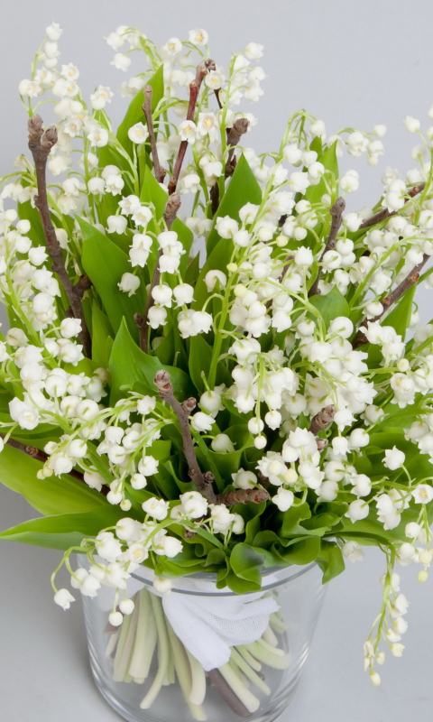 Lily Of The Valley Bouquet wallpaper 480x800