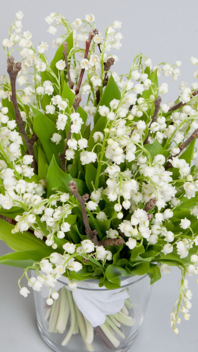 Screenshot №1 pro téma Lily Of The Valley Bouquet 640x1136