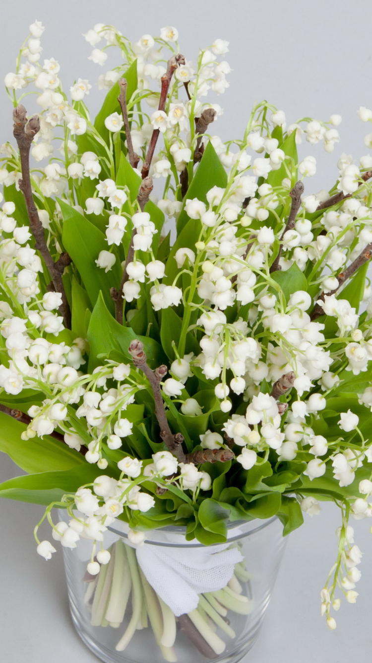 Lily Of The Valley Bouquet wallpaper 750x1334