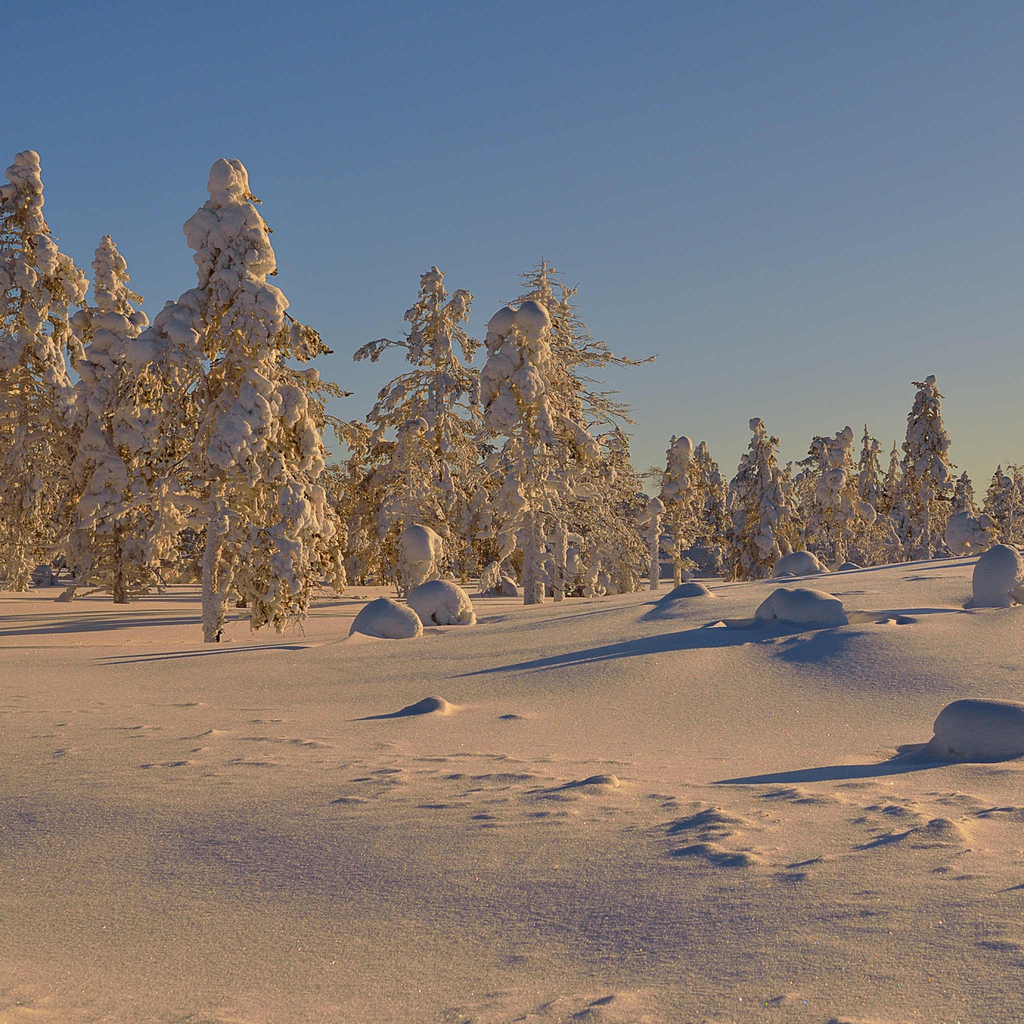 Screenshot №1 pro téma Thaw in Winter Morning 2048x2048