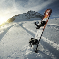 Das Snowboard Winter Sport Wallpaper 208x208