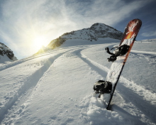 Das Snowboard Winter Sport Wallpaper 220x176
