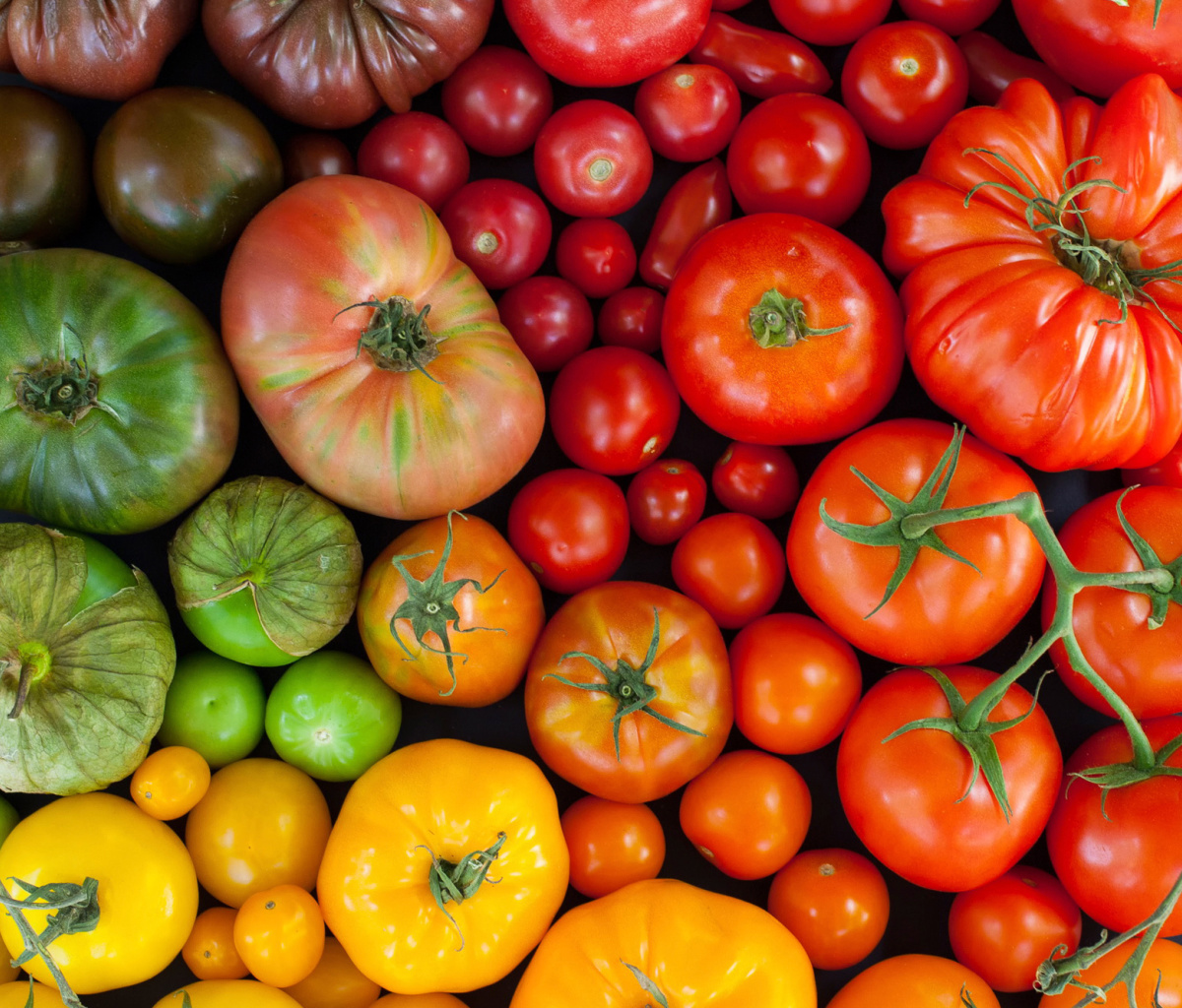 Sfondi Tomatoes 1200x1024