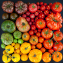 Das Tomatoes Wallpaper 128x128