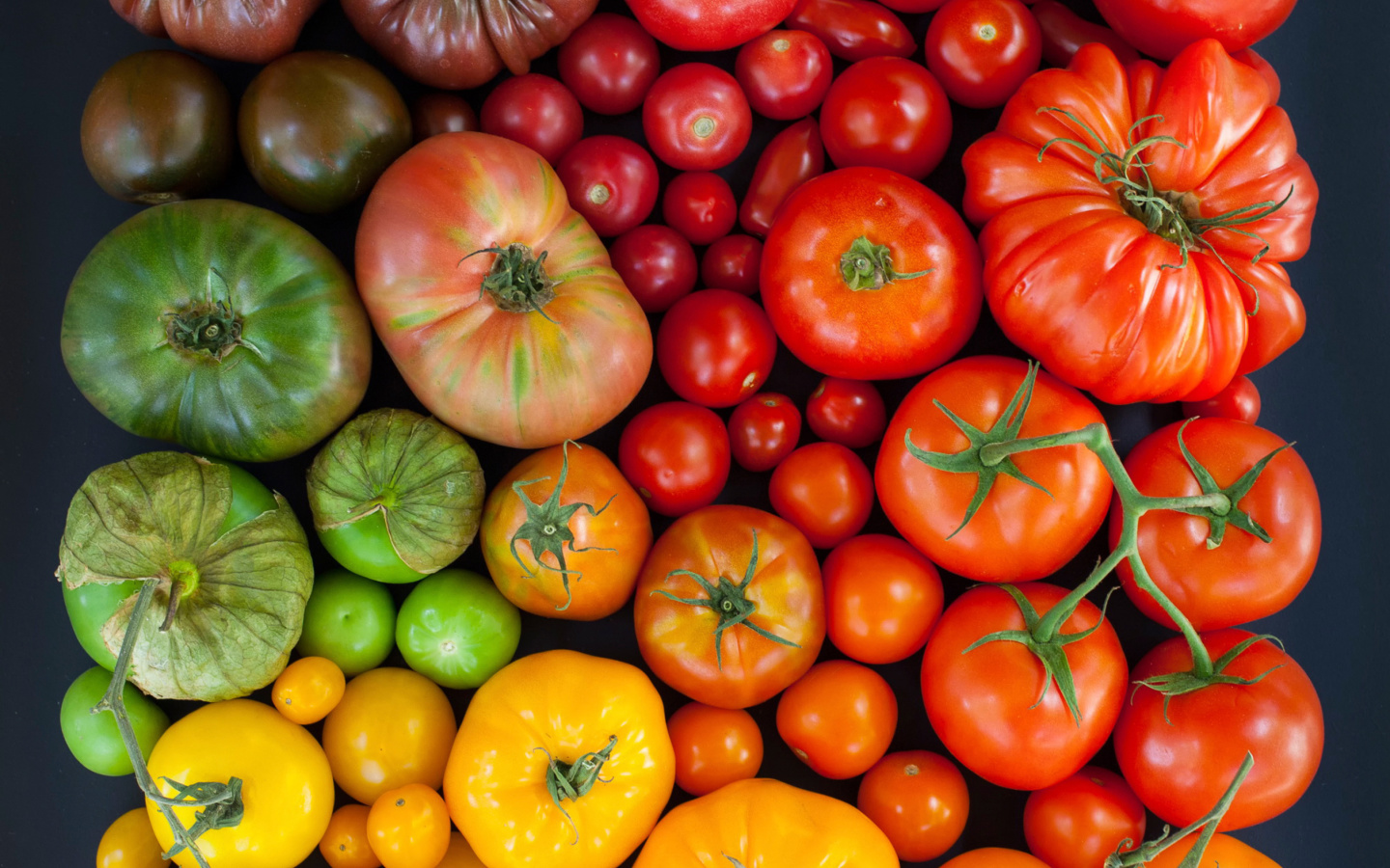 Sfondi Tomatoes 1440x900