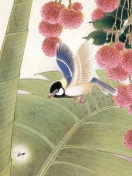 Sketch Bird wallpaper 132x176