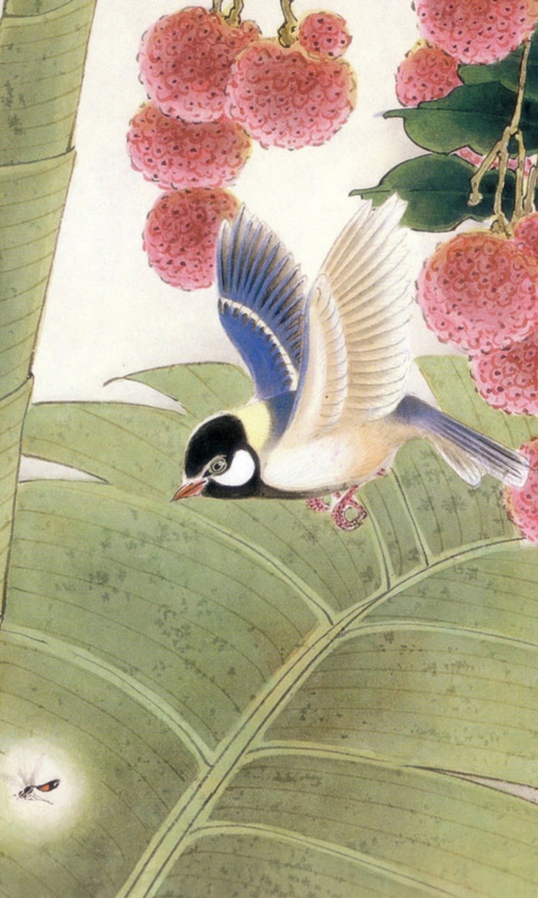 Das Sketch Bird Wallpaper 768x1280
