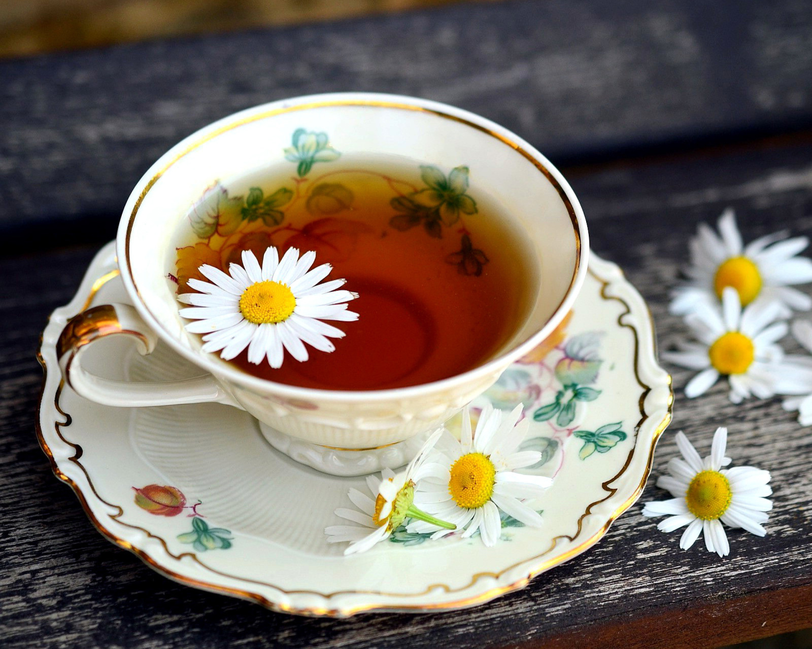 Fondo de pantalla Tea with daisies 1600x1280