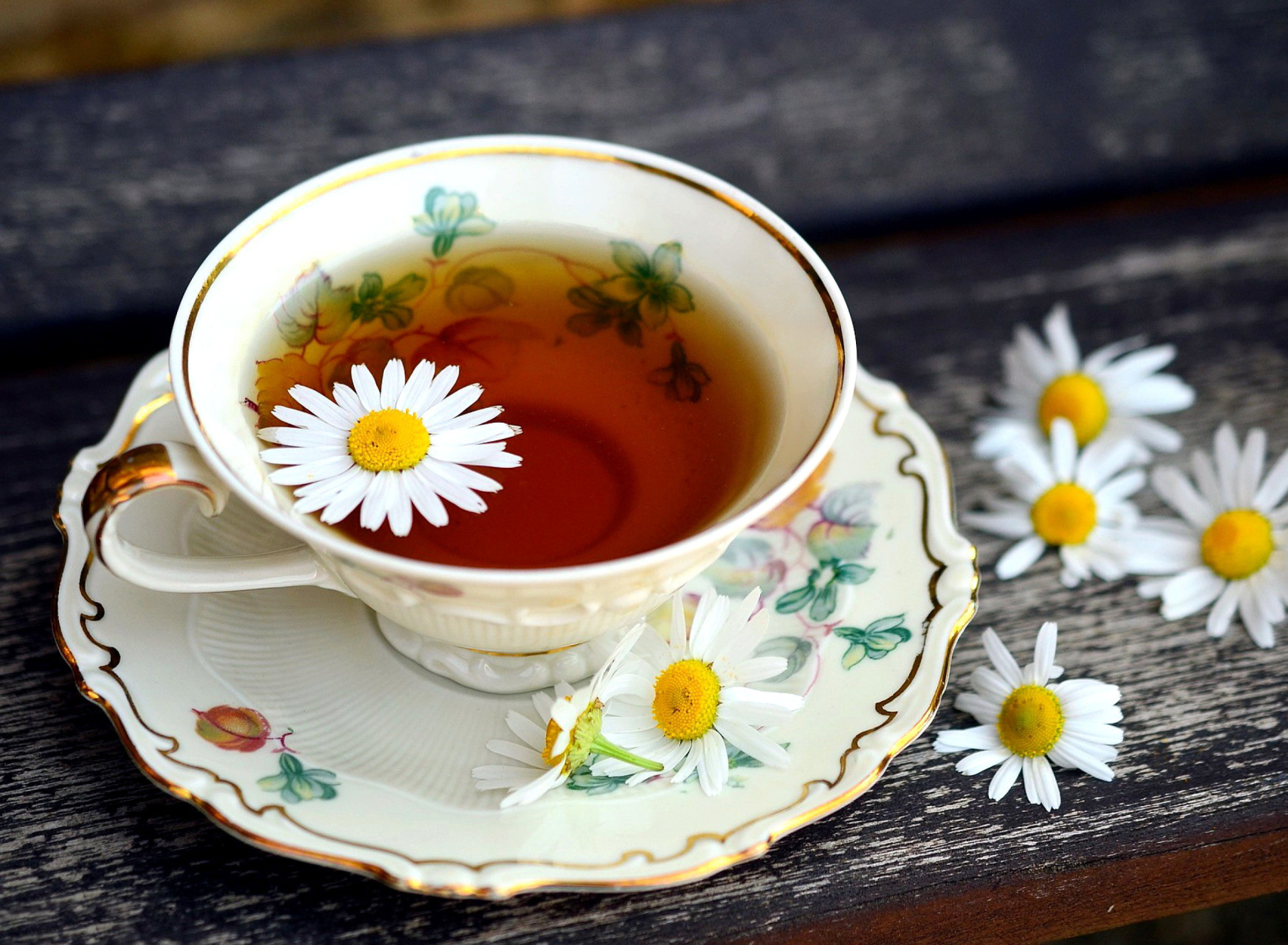 Обои Tea with daisies 1920x1408