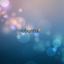 Screenshot №1 pro téma Ubuntu Linux 208x208