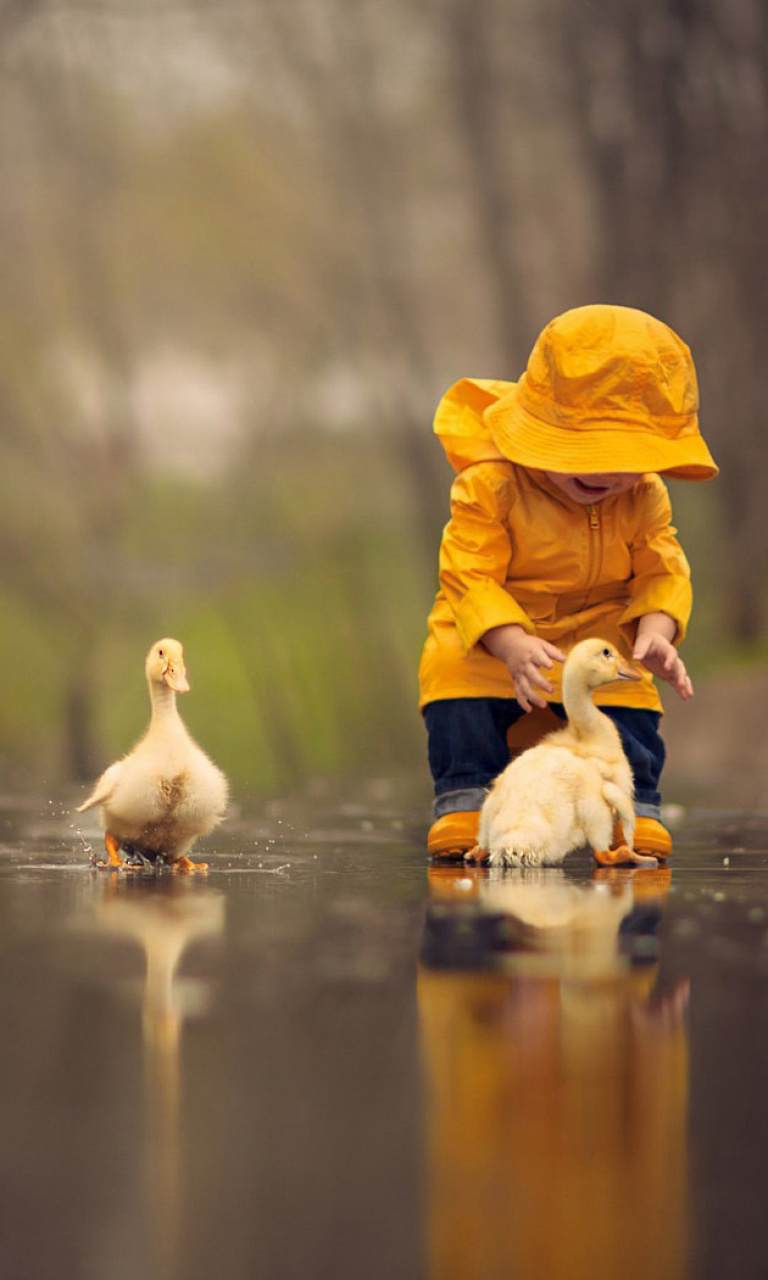 Goslings in Puddle wallpaper 768x1280
