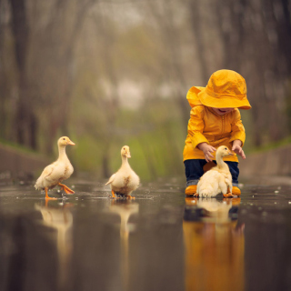 Goslings in Puddle - Fondos de pantalla gratis para iPad 2