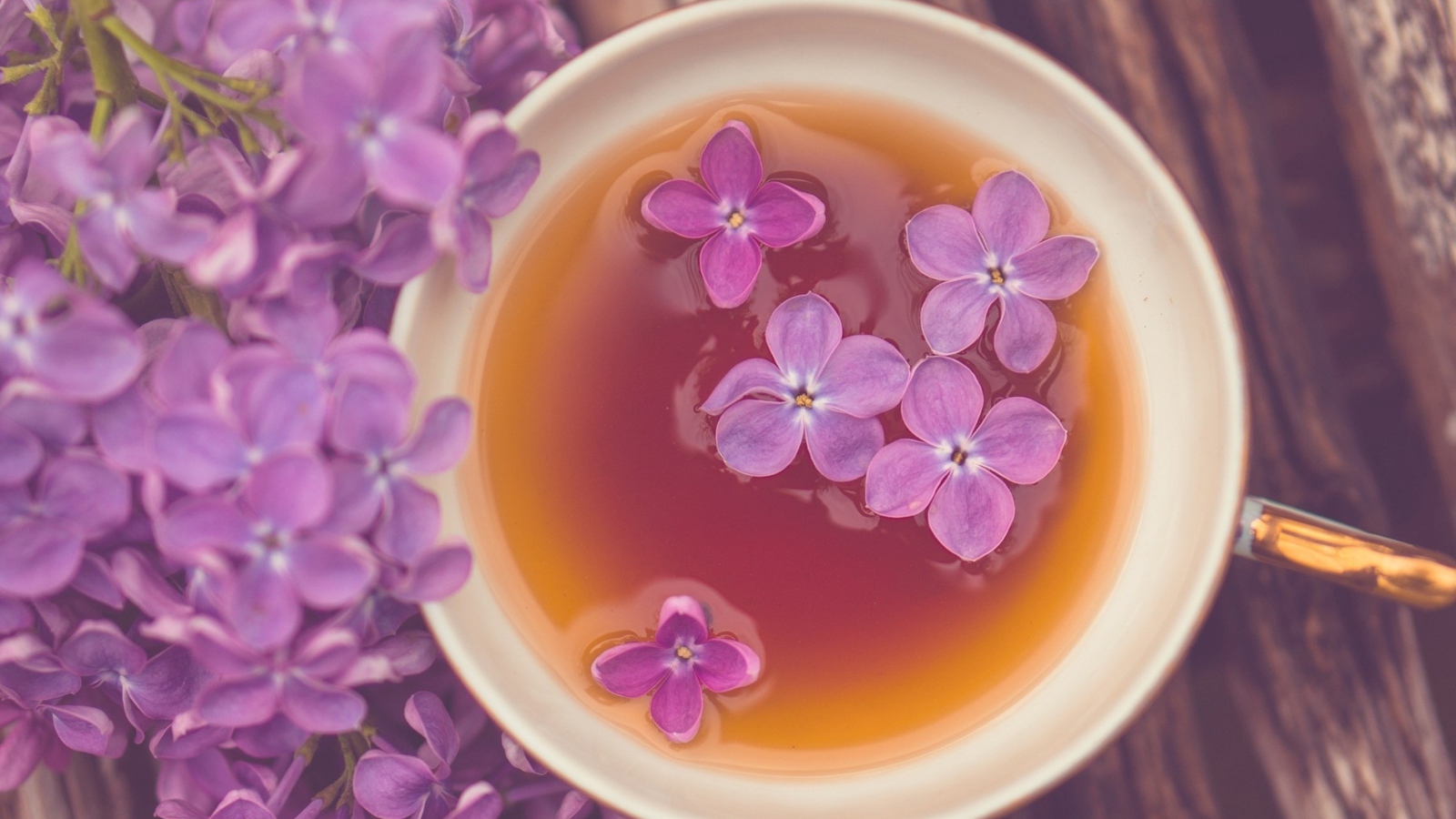 Cup Of Tea And Lilac Flowers screenshot #1 1600x900