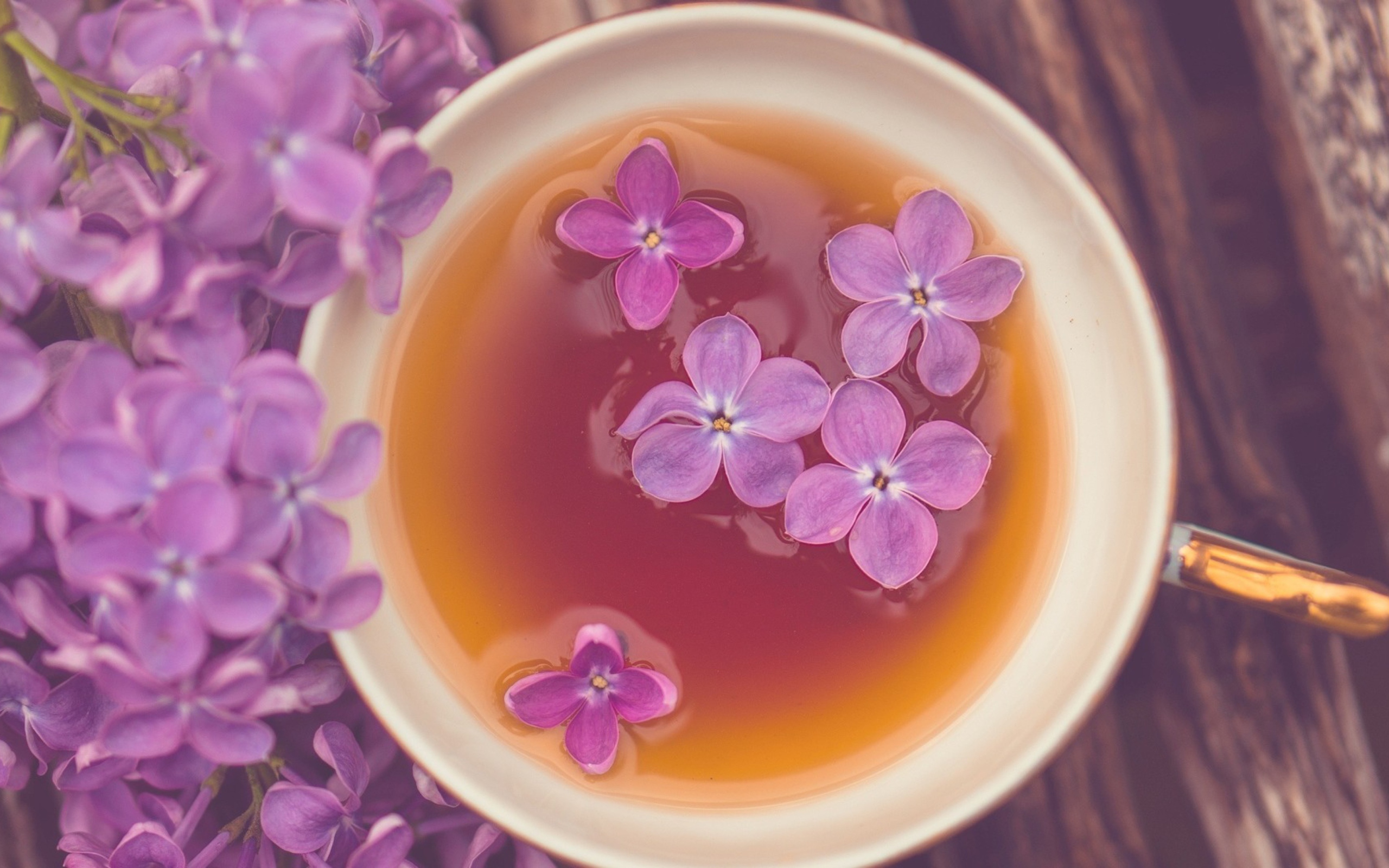 Sfondi Cup Of Tea And Lilac Flowers 2560x1600