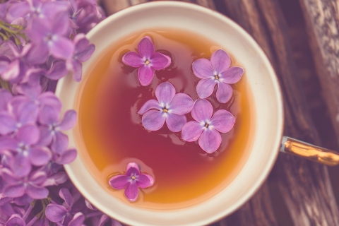 Das Cup Of Tea And Lilac Flowers Wallpaper 480x320
