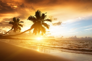 Caribbean Landscape - Fondos de pantalla gratis para Samsung Galaxy Tab 3