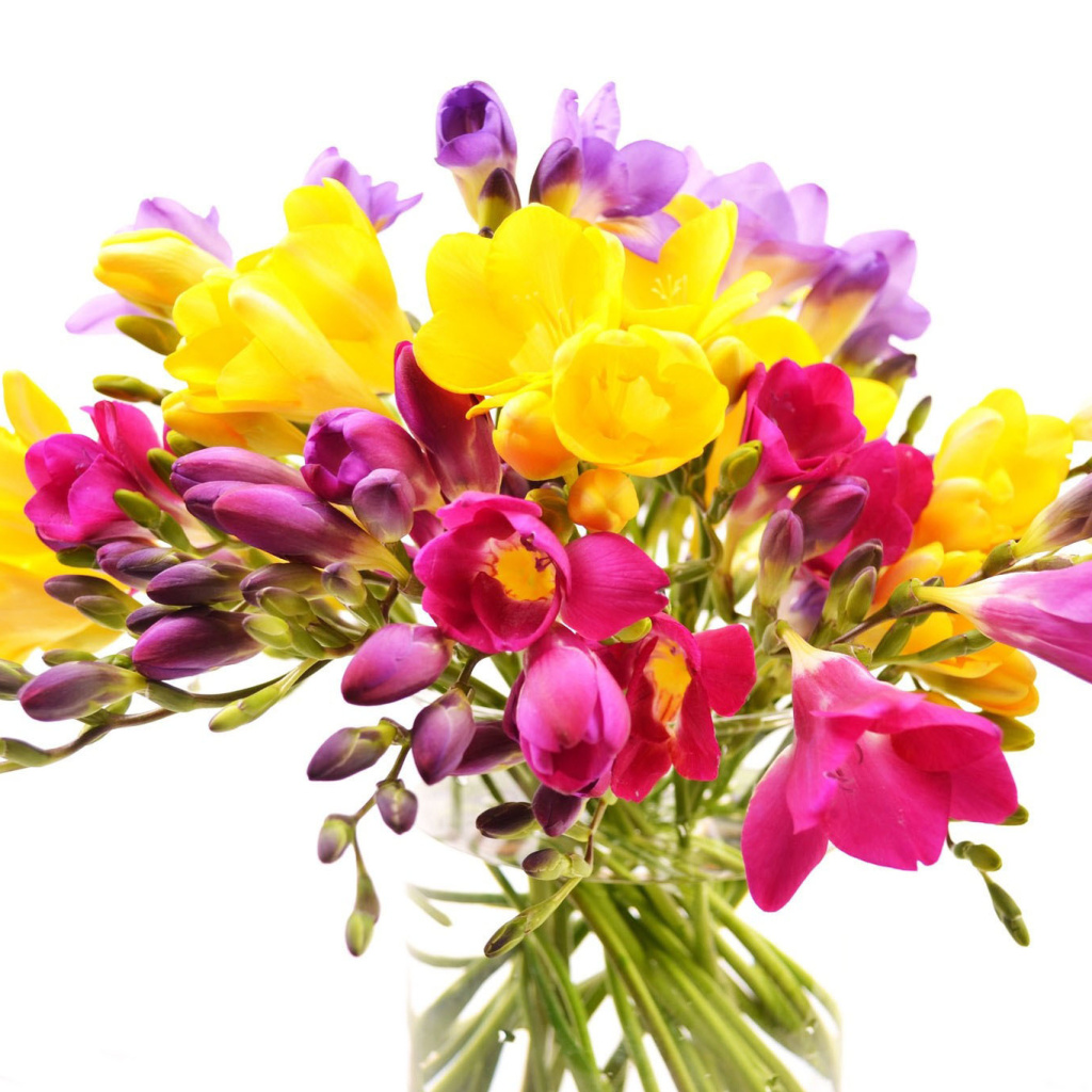 Fondo de pantalla Summer Flowers Bouquet 1024x1024