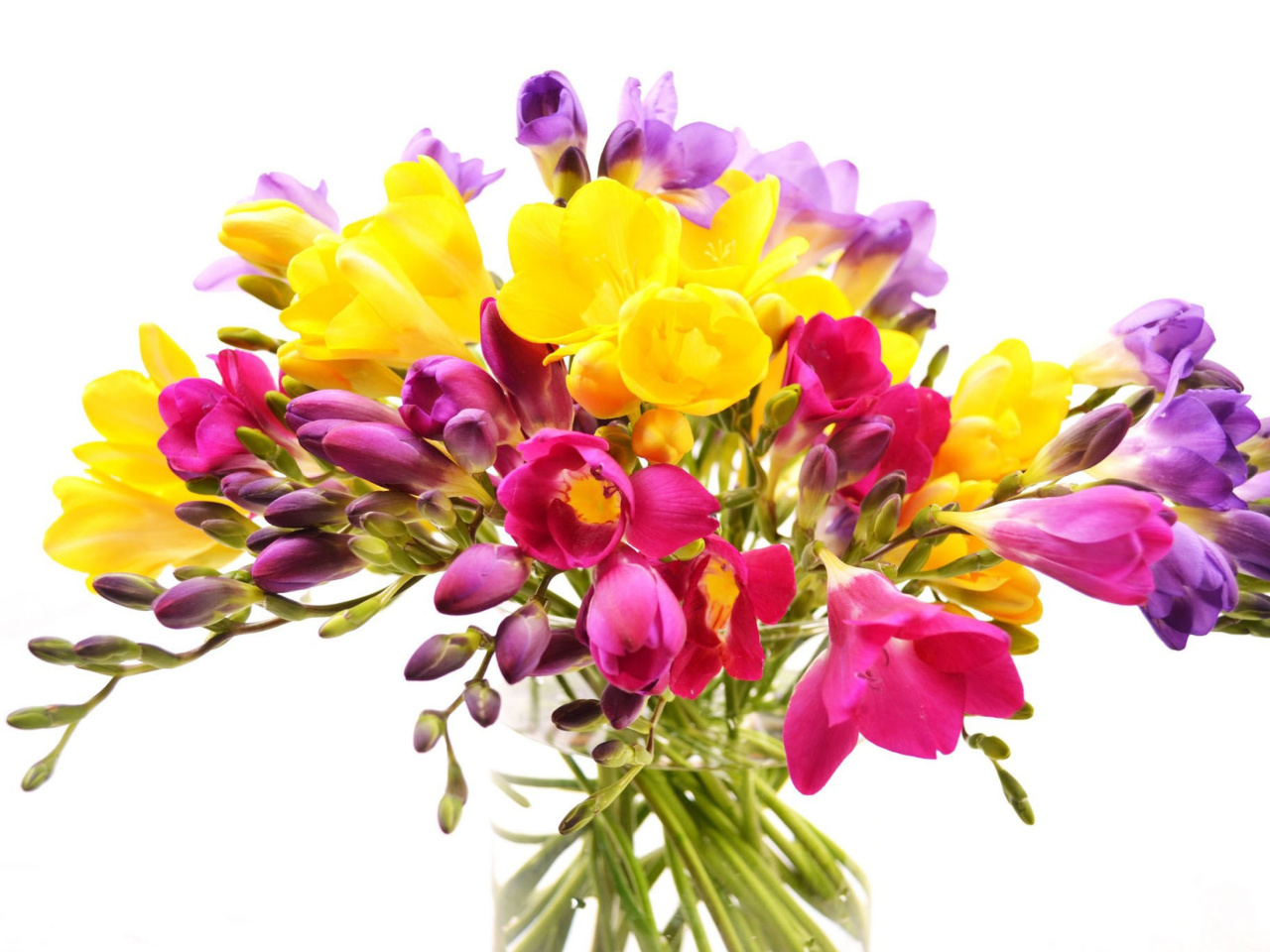 Обои Summer Flowers Bouquet 1280x960