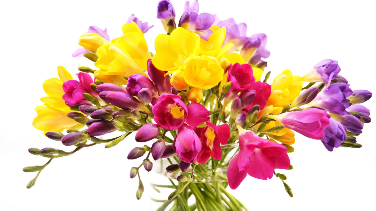 Screenshot №1 pro téma Summer Flowers Bouquet 1600x900